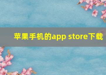 苹果手机的app store下载